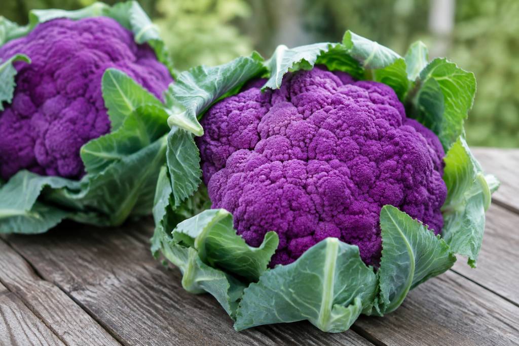 Chou-fleur violet : culture, récolte et idées pour le cuisiner